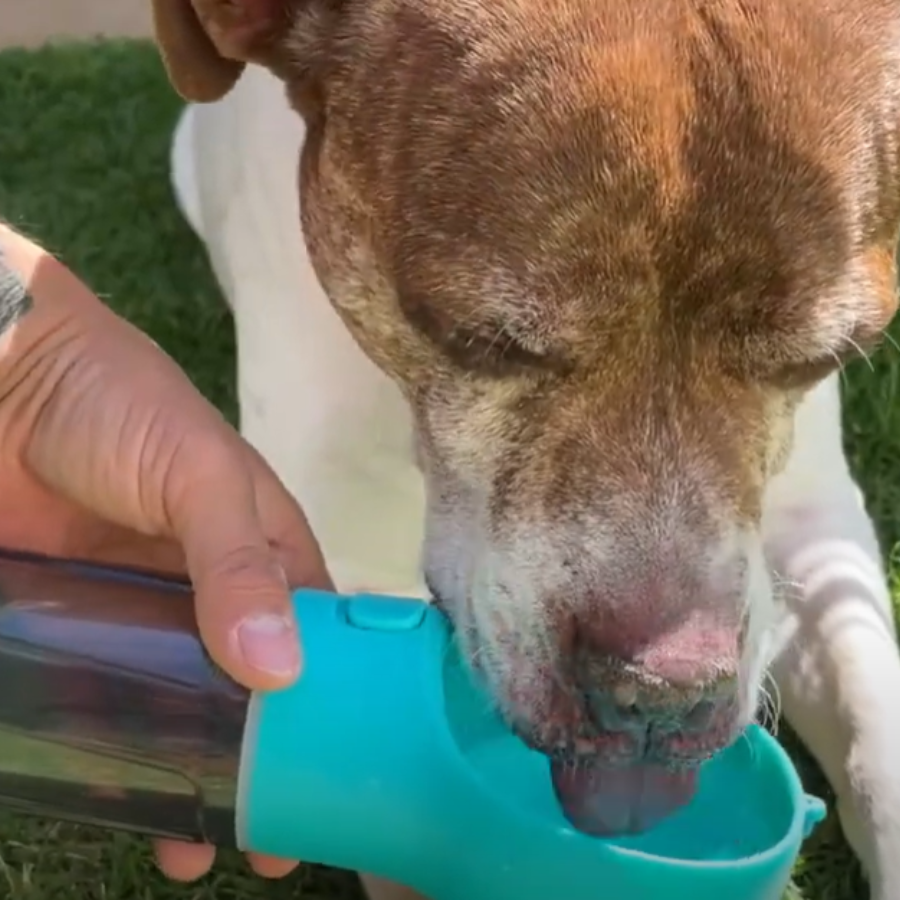 Botella Dispensadora PetGo 3-in-1™ – Mascota en Marcha 3 en 1