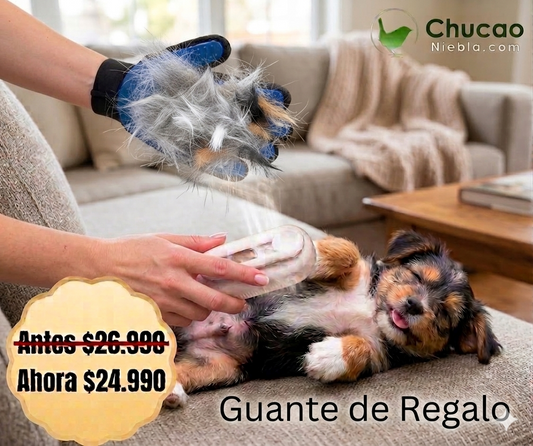 VapoPet™ - Cepillo de Vapor 3 en 1 para Mascotas + Guante masajeador de  REGALO