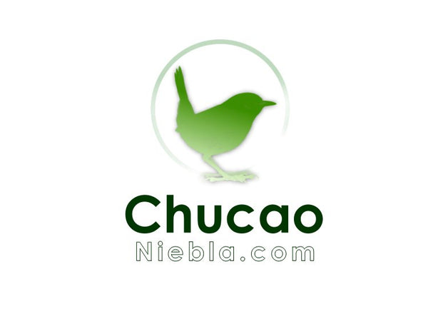 Chucaoniebla.com